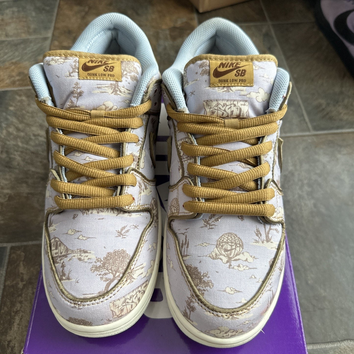 Size 11.5 - Nike Dunk Premium SB Low City of Style Pack