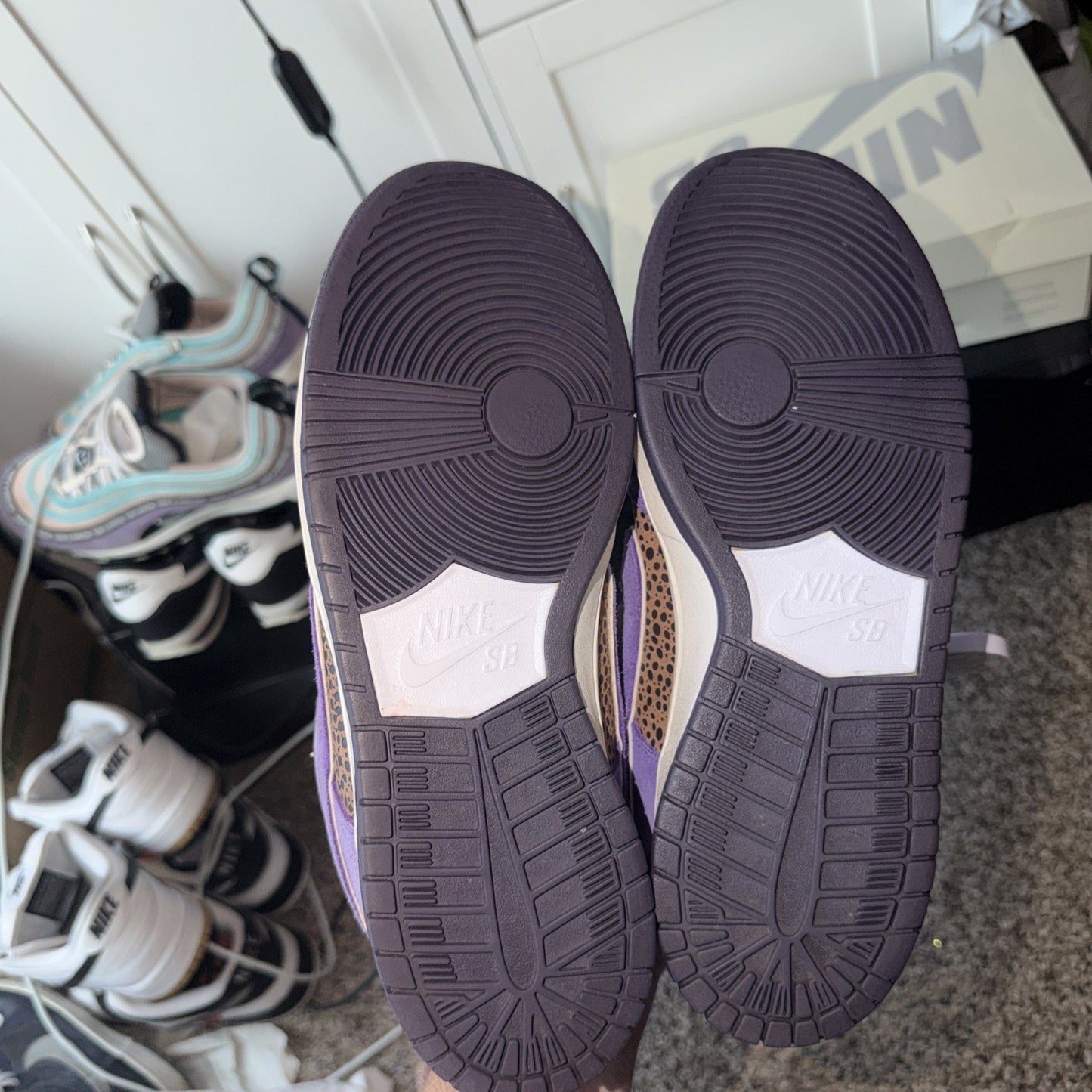 Size 9.5 - Nike Dunk Premium SB Low Kenny Powers