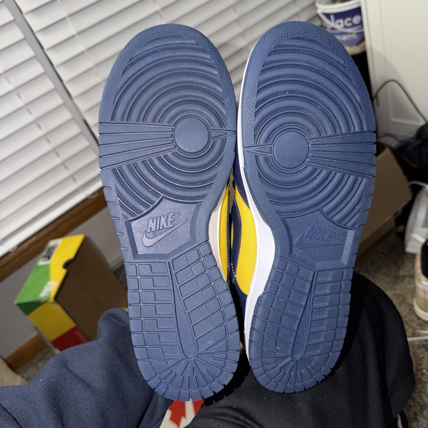 Size 10 - Nike Dunk Low Michigan 2021