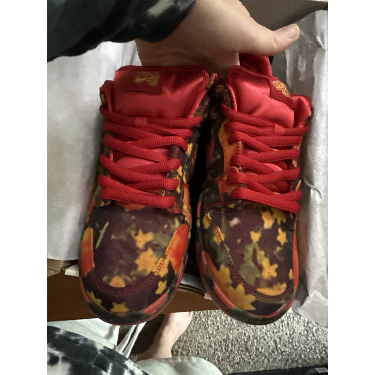 Nike Dunk SB Low Wizard of Oz Poppy Field Sz 10 New 313170-005👟