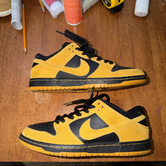 Size 8 - Nike SB Dunk Pro Low Iowa