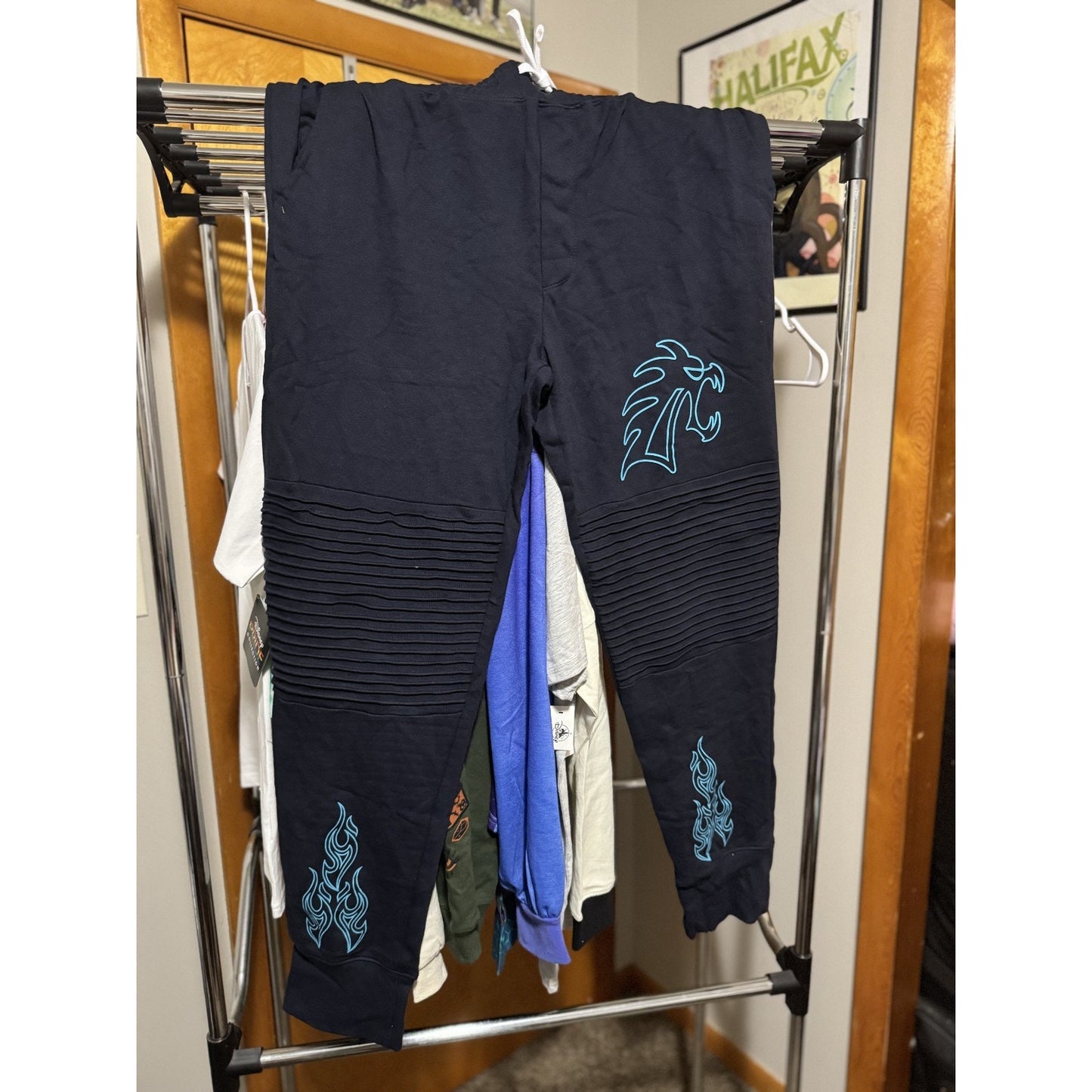 DIsney Parks Large Hercules Hades Joggers