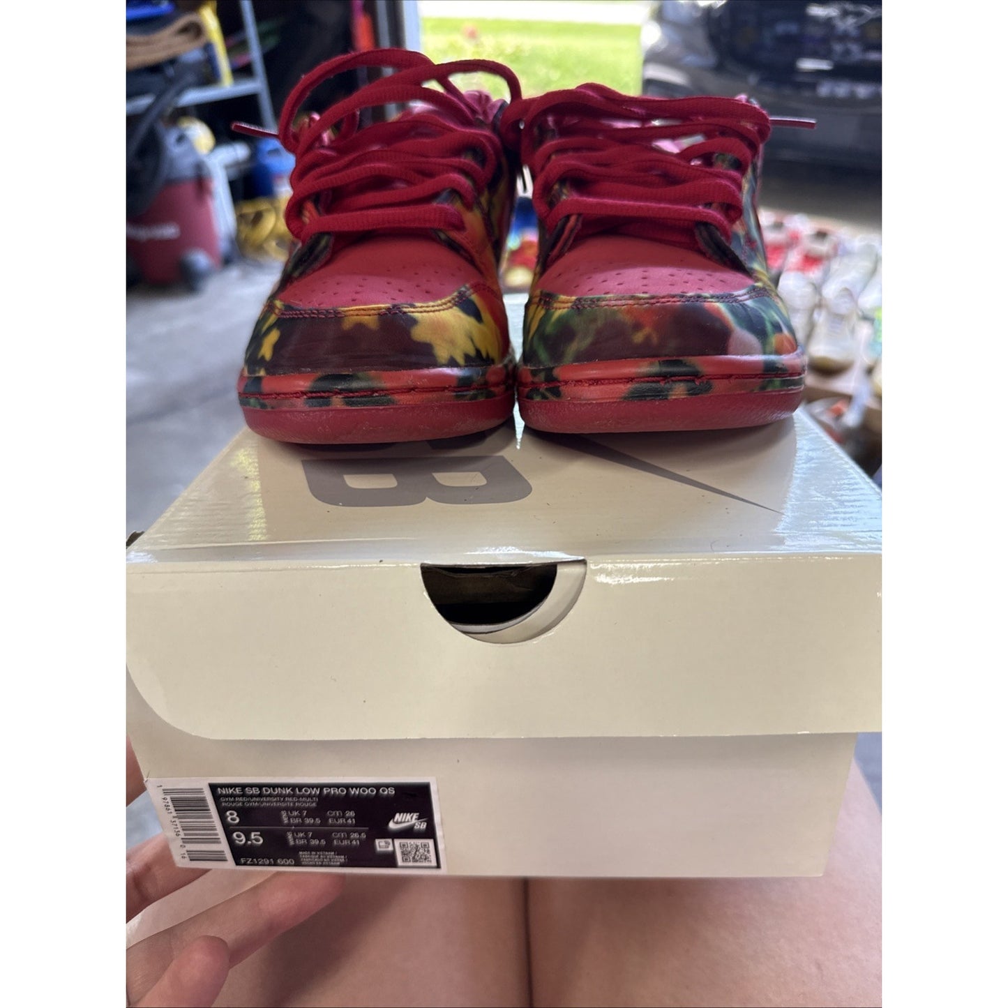 SZ 8 Mens The Wizard of Oz x Nike Dunk SB Low Poppy Field FZ1291-600