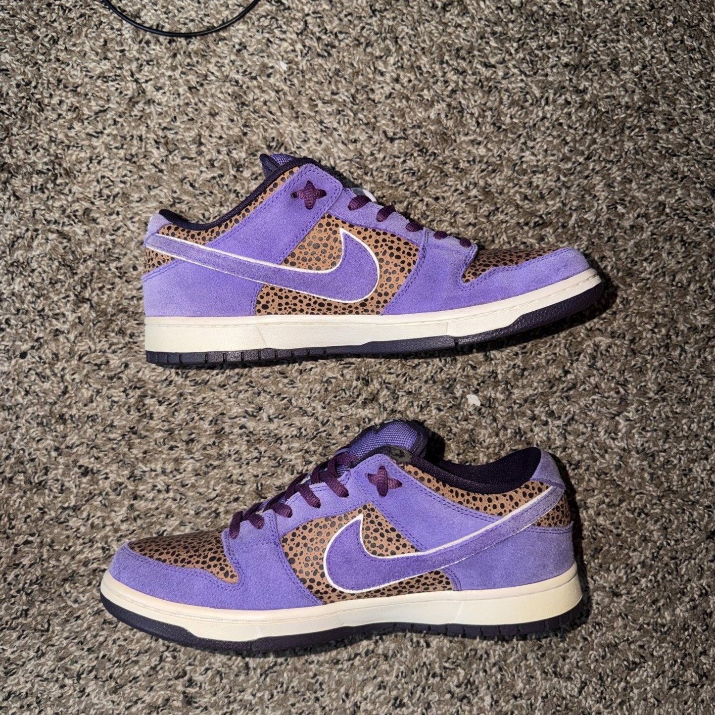 Size 9.5 - Nike Dunk Premium SB Low Kenny Powers
