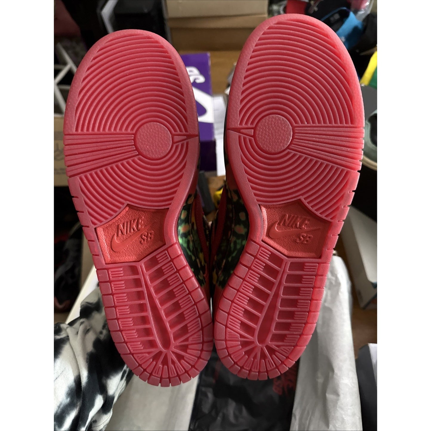 Nike Dunk SB Low Wizard of Oz Poppy Field Sz 10 New 313170-005👟