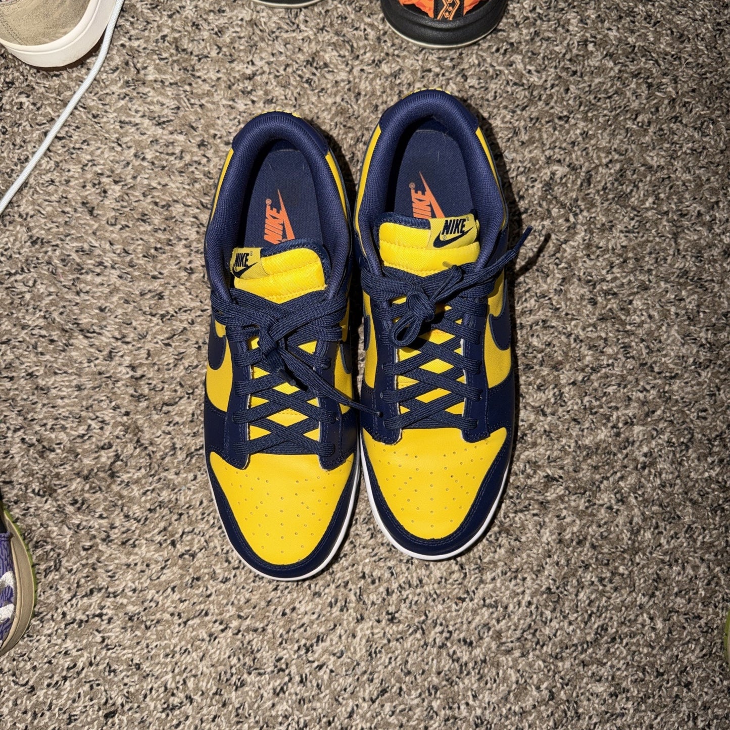 Size 10 - Nike Dunk Low Michigan 2021
