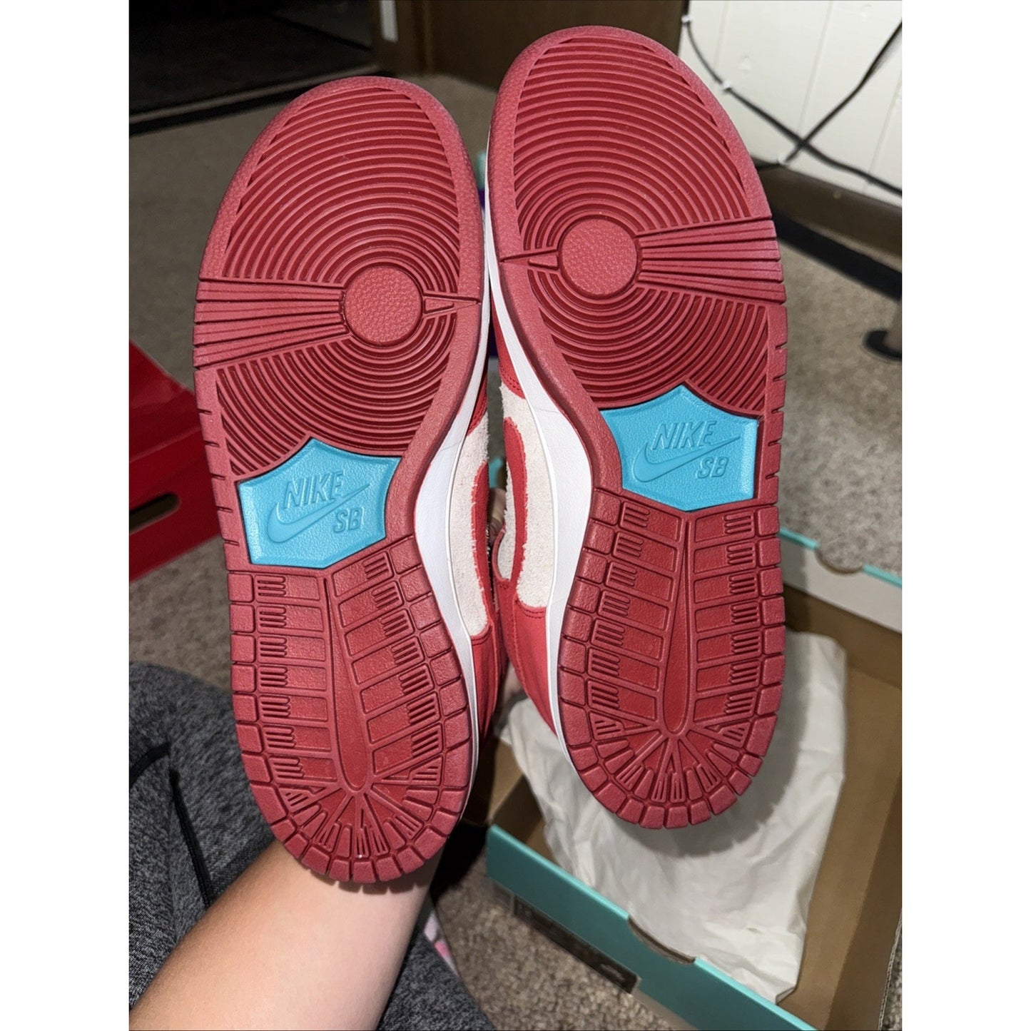 Size 12 - Nike Dunk Pro Sb High Dr. Seuss
