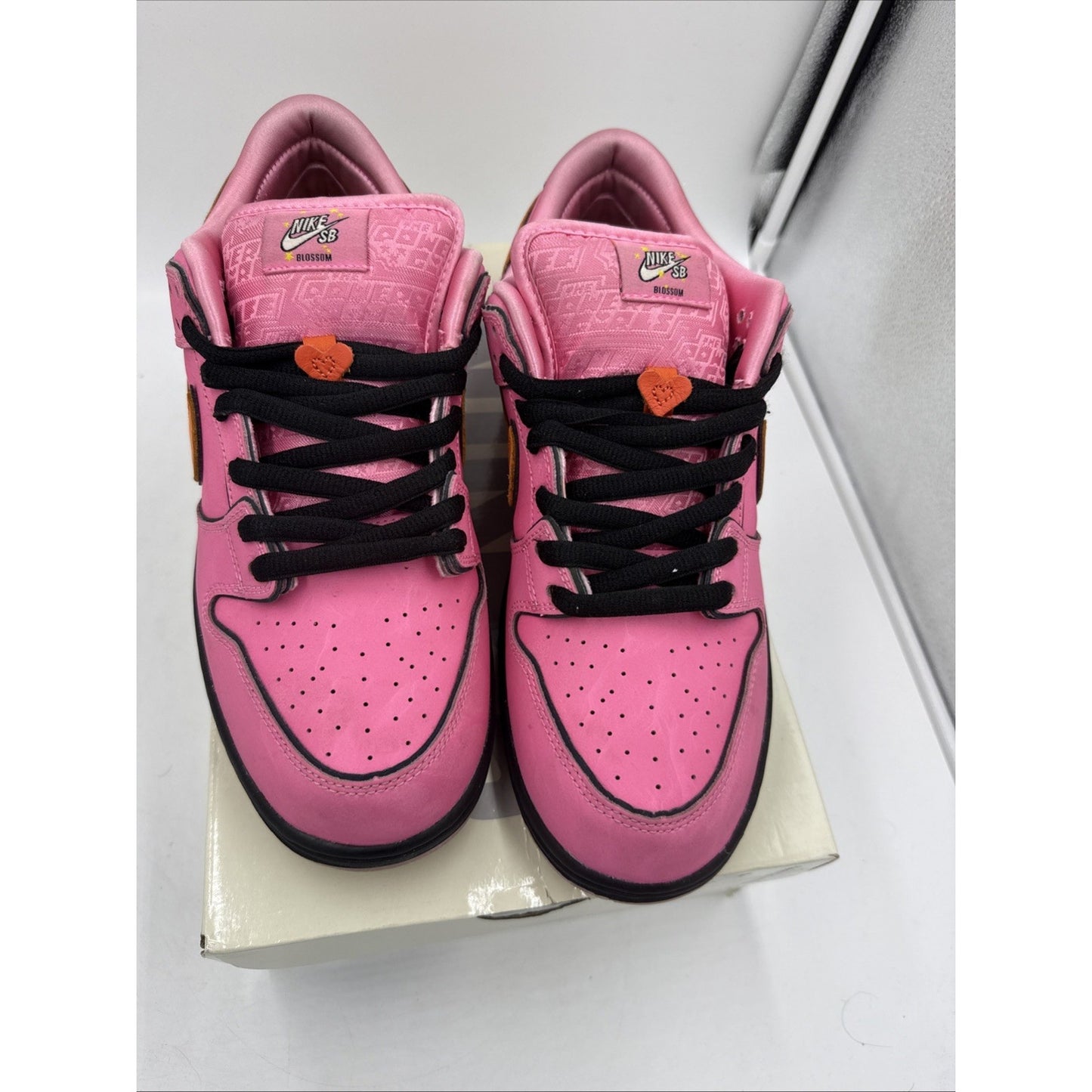 Size 11 Nike SB The Powerpuff Girls Blossom