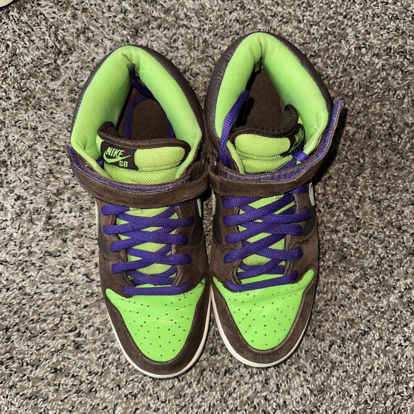 Nike Dunk Pro SB Mid Donatello Size 12