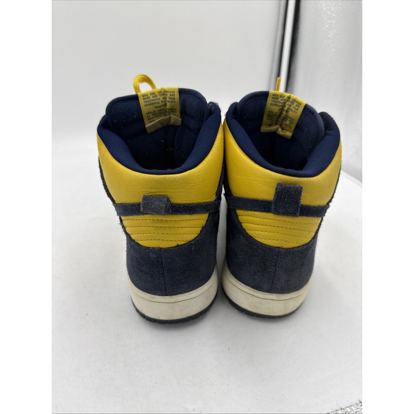 Size 9.5 - Nike Dunk Pro SB High Michigan
