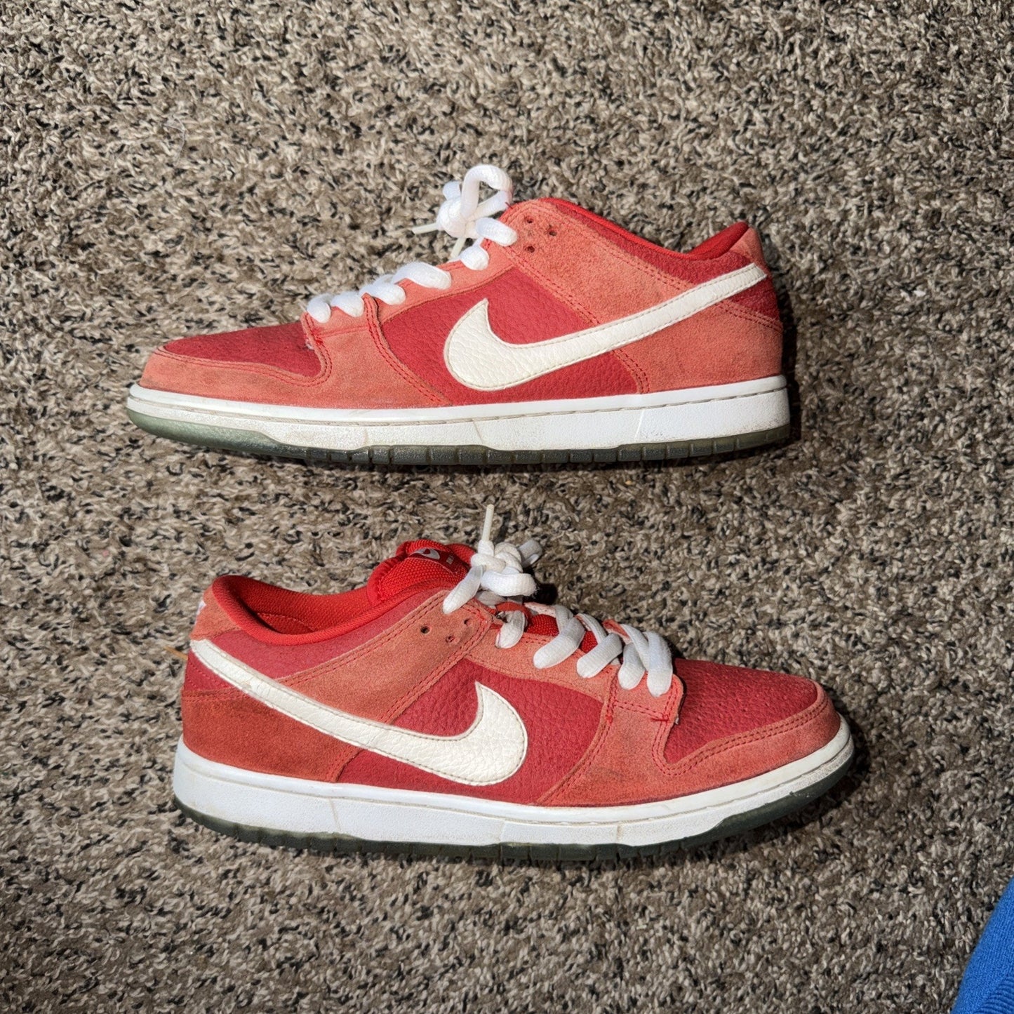 Size 9 - Nike Dunk Pro SB Low Challenge Red