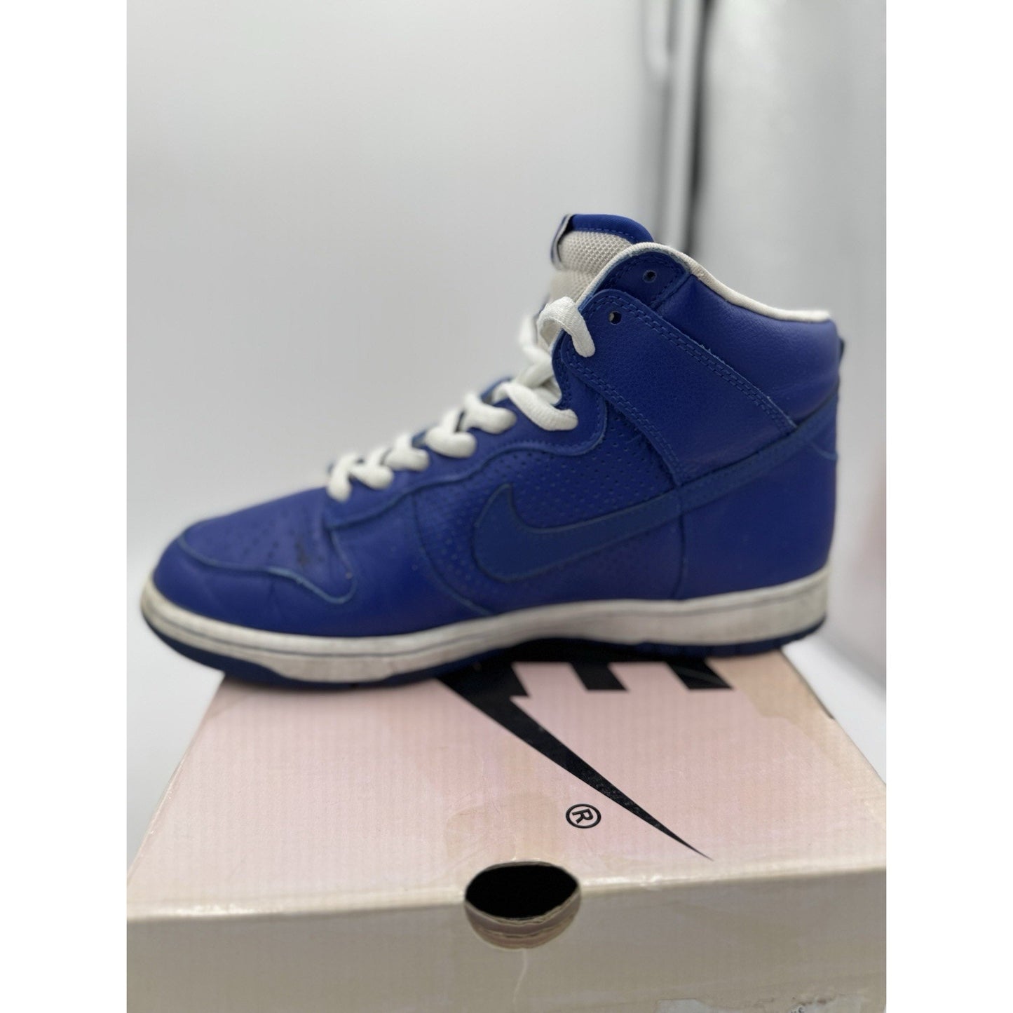 Size 10 - Nike Dunk Pro SB High T-19