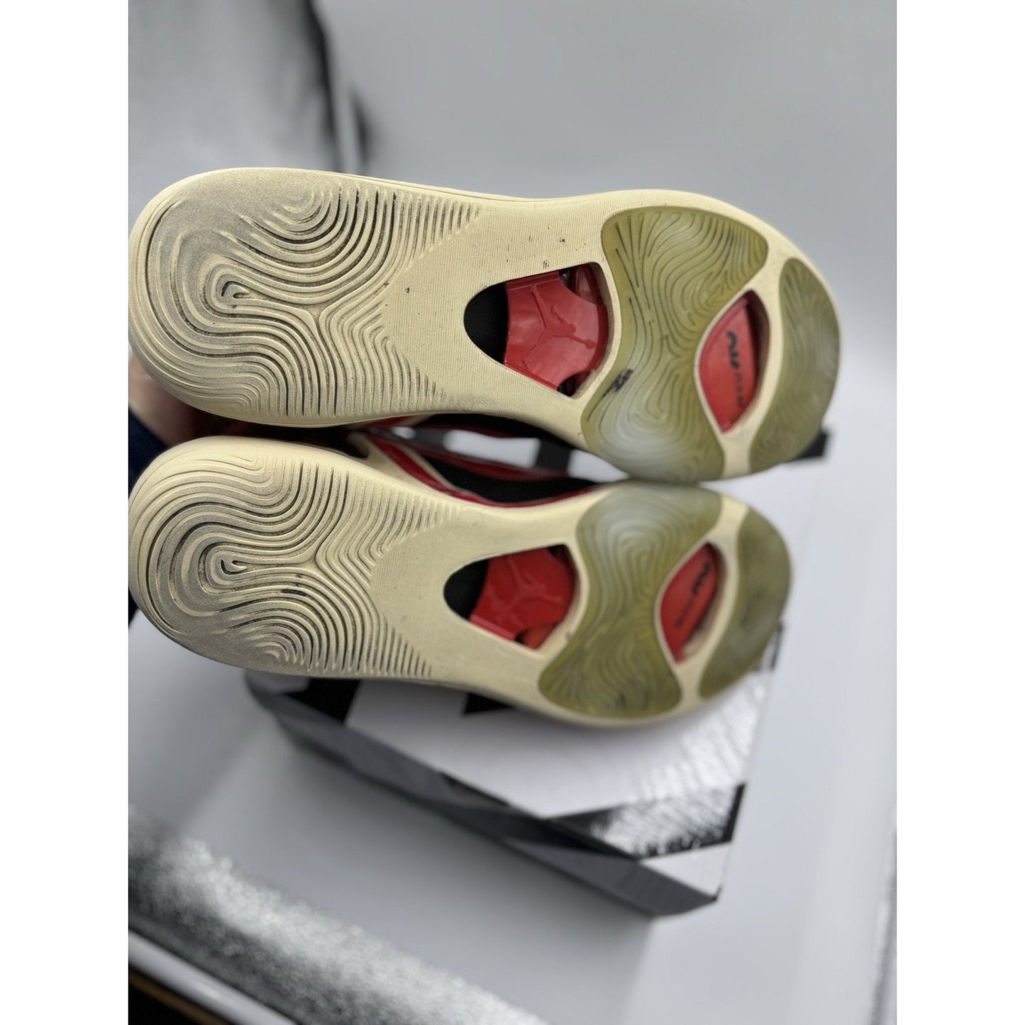 Size 13 - Jordan Tatum 1 Zoo - DX5572-001