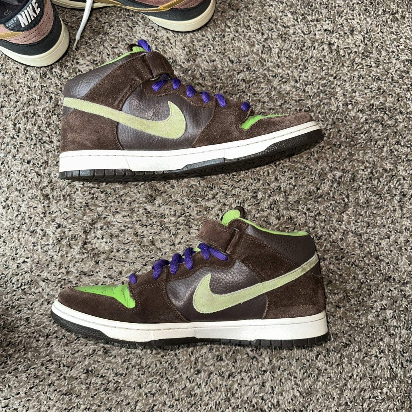 Nike Dunk Pro SB Mid Donatello Size 12
