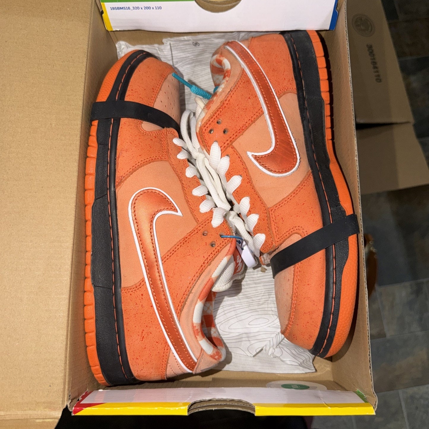 Nike SB Dunk Low 'Concepts Orange Lobster' Sneakers Size 9 FD8776-800