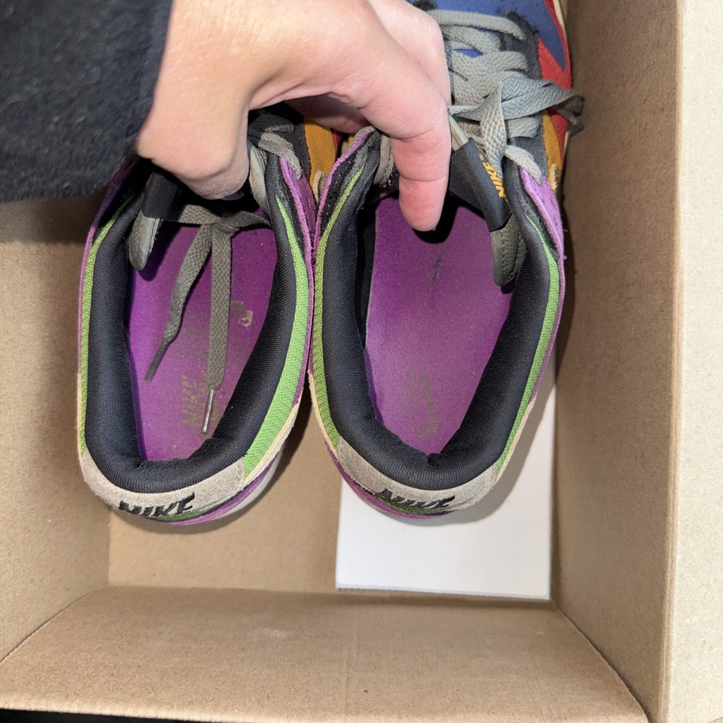 Size 9.5 - Nike Dunk SP Retro 2019 Low Viotech