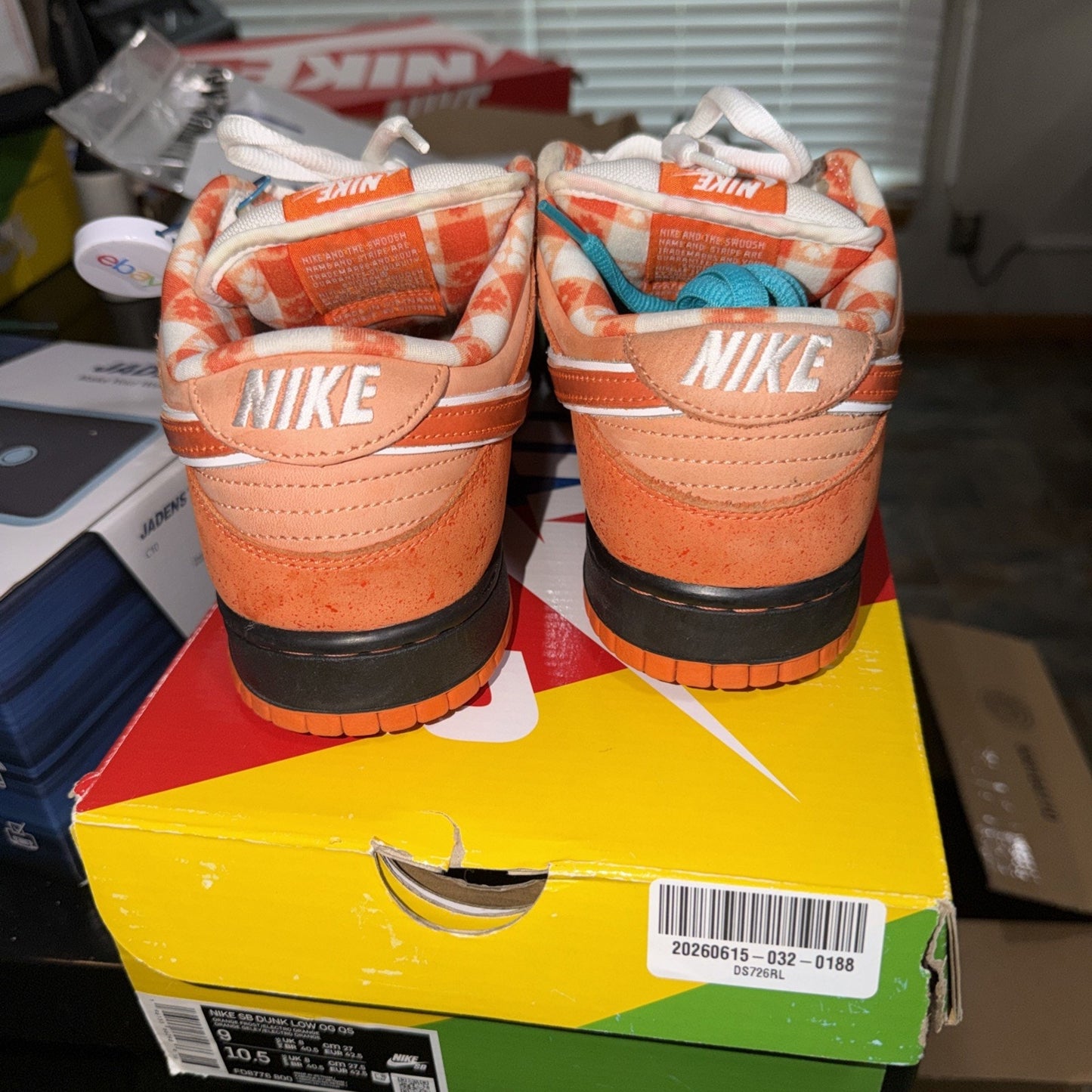 Nike SB Dunk Low 'Concepts Orange Lobster' Sneakers Size 9 FD8776-800