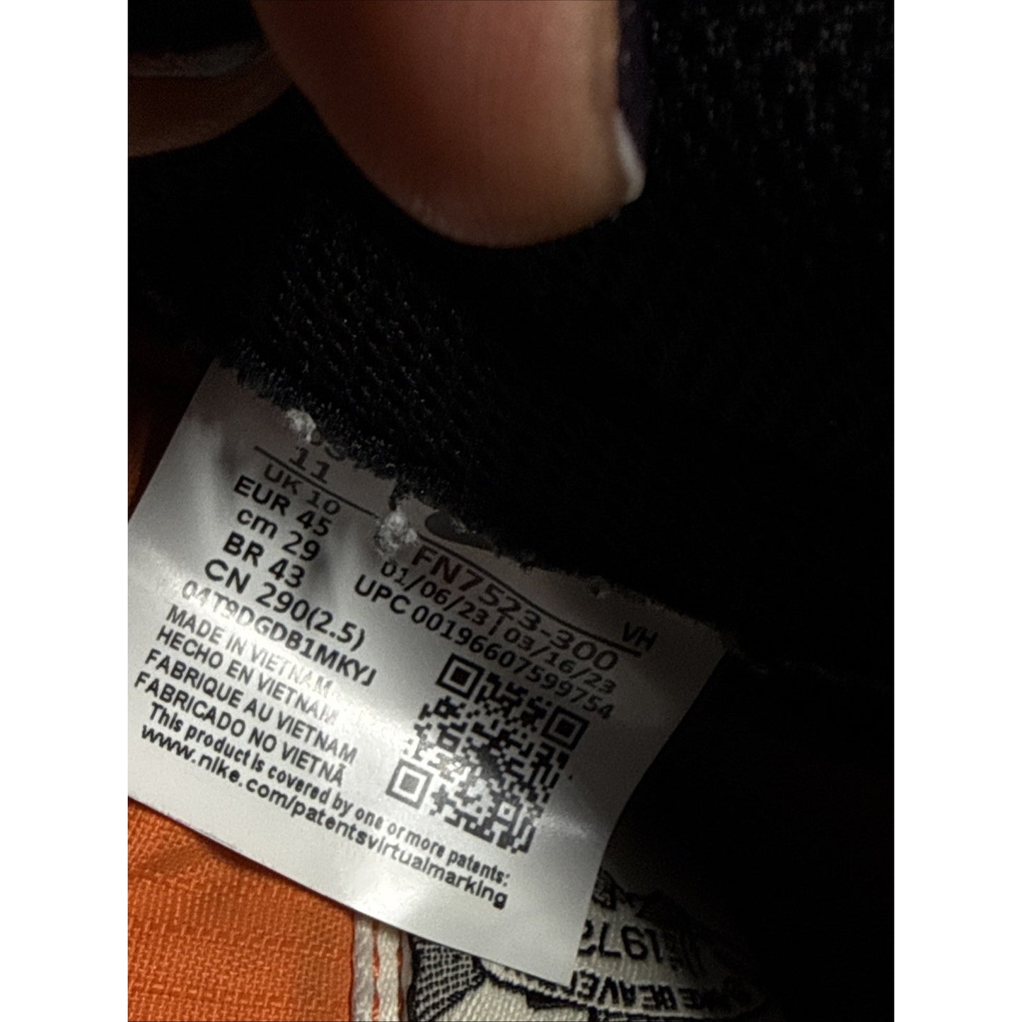 3017) Nike Dunk Low Gone Fishing Rainbow Trout FN7523-300 Men's Size 9.5