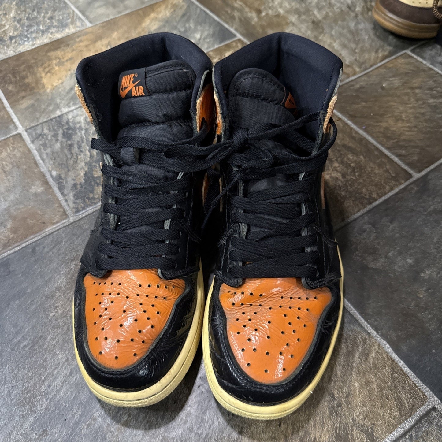 Jordan Air Jordan 1 Retro High OG Shattered Backboard 3.0 2019 555088-028 Sz 9