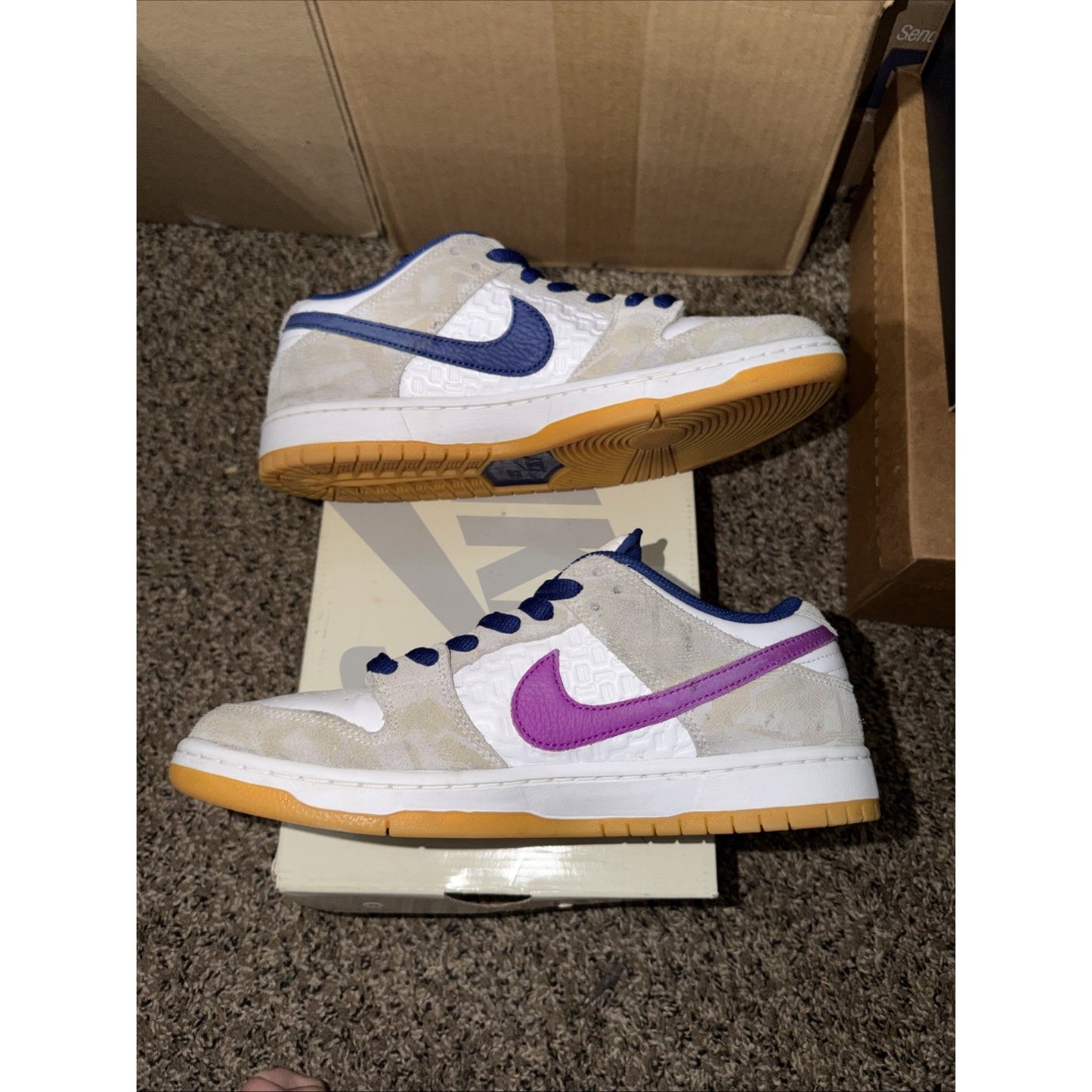 Nike SB Dunk Low "RAYSSA LEAL" 2024 - Size 9 - fz5251 001 (6202-69)