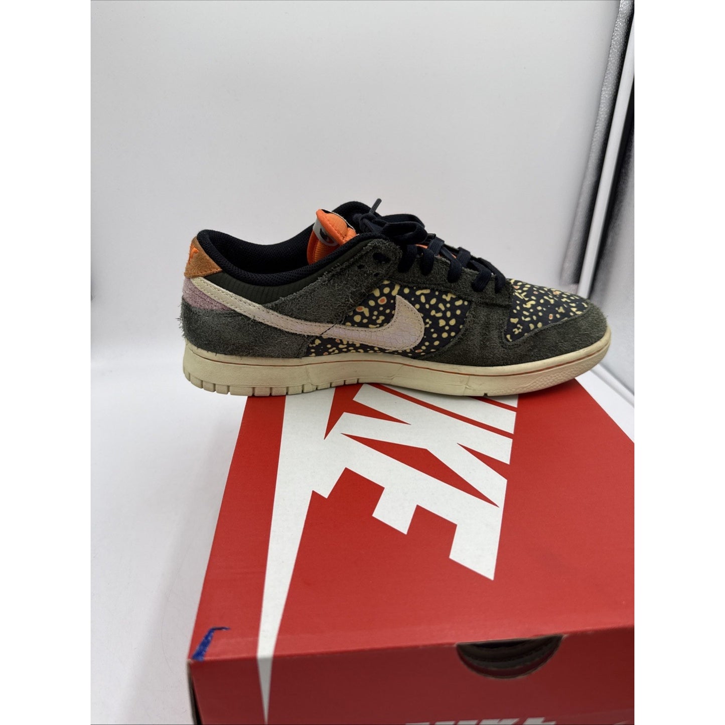 3017) Nike Dunk Low Gone Fishing Rainbow Trout FN7523-300 Men's Size 9.5