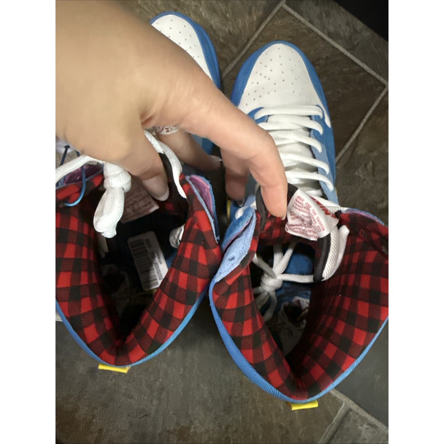Size 12 - Nike Dunk Premium SB High Familia