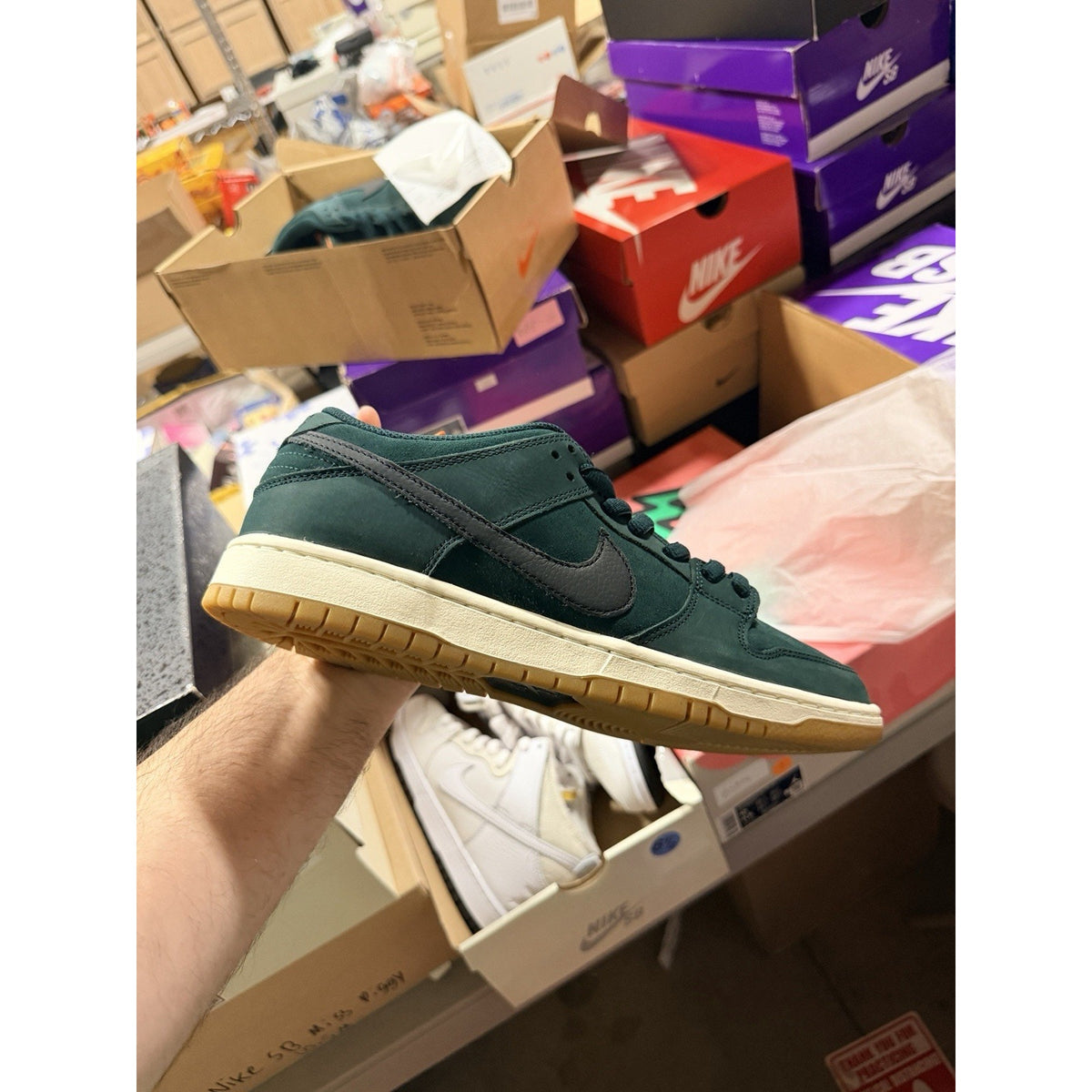 Size 10.5 - Nike Dunk Pro SB Low Deep Fir