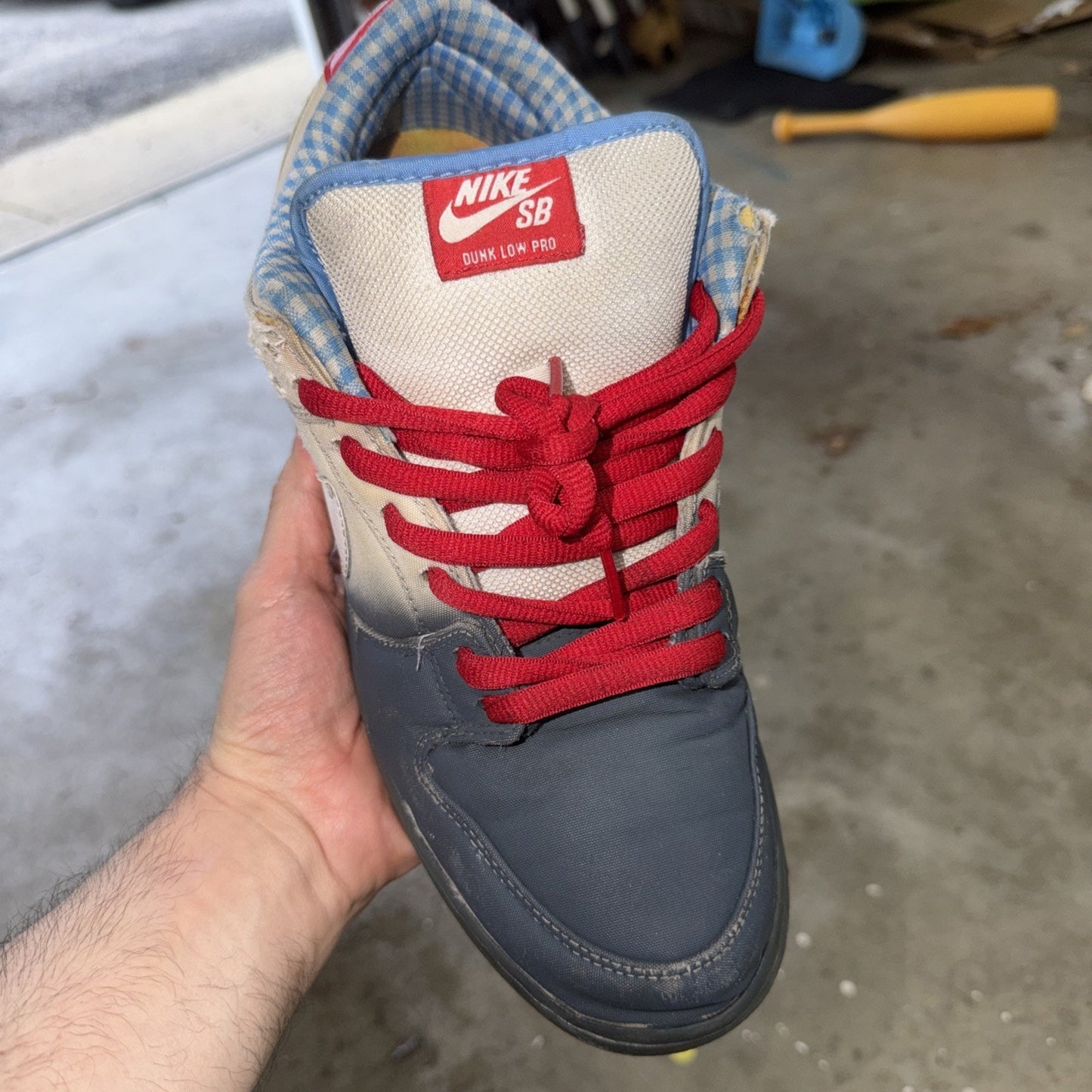 Size 11.5 - Nike Dunk Premium SB Low Dorothy