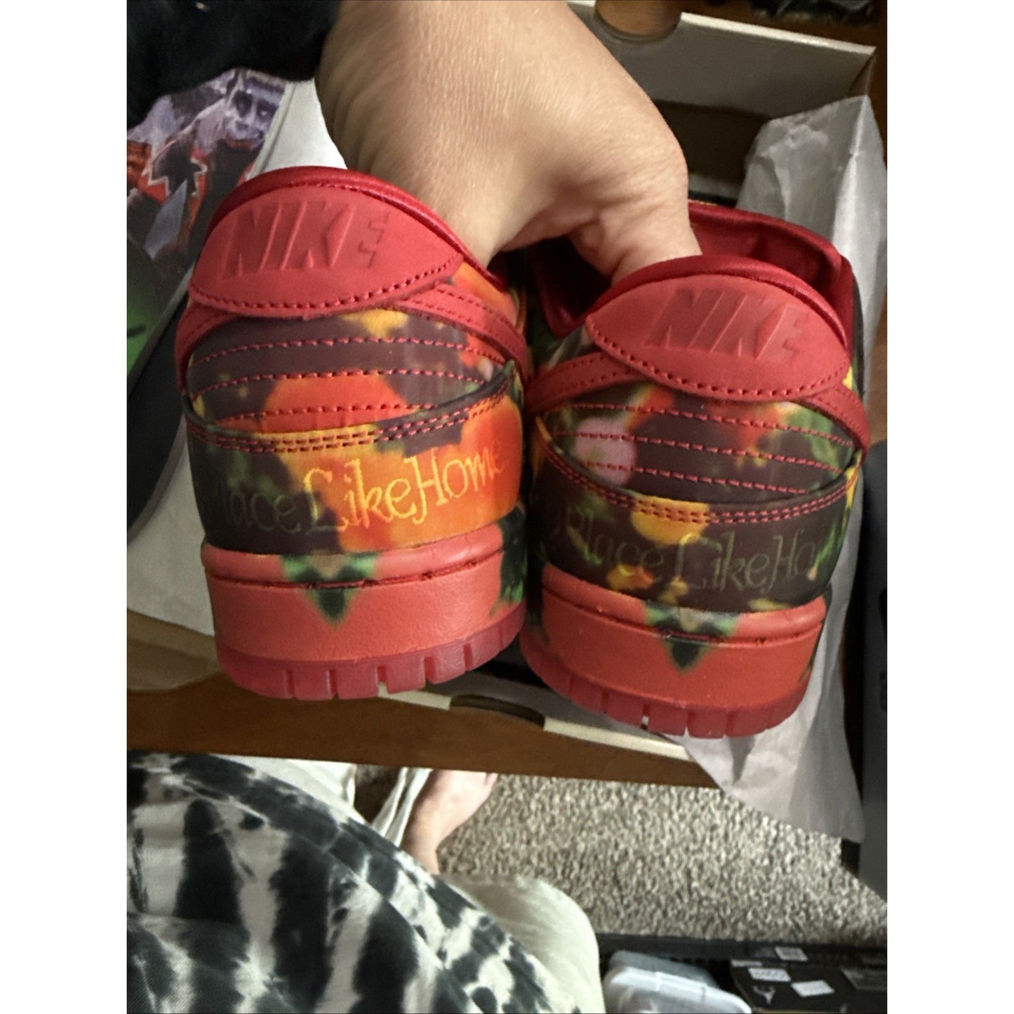 Nike Dunk SB Low Wizard of Oz Poppy Field Sz 10 New 313170-005👟