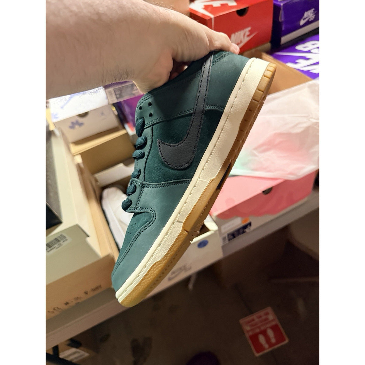 Size 10.5 - Nike Dunk Pro SB Low Deep Fir