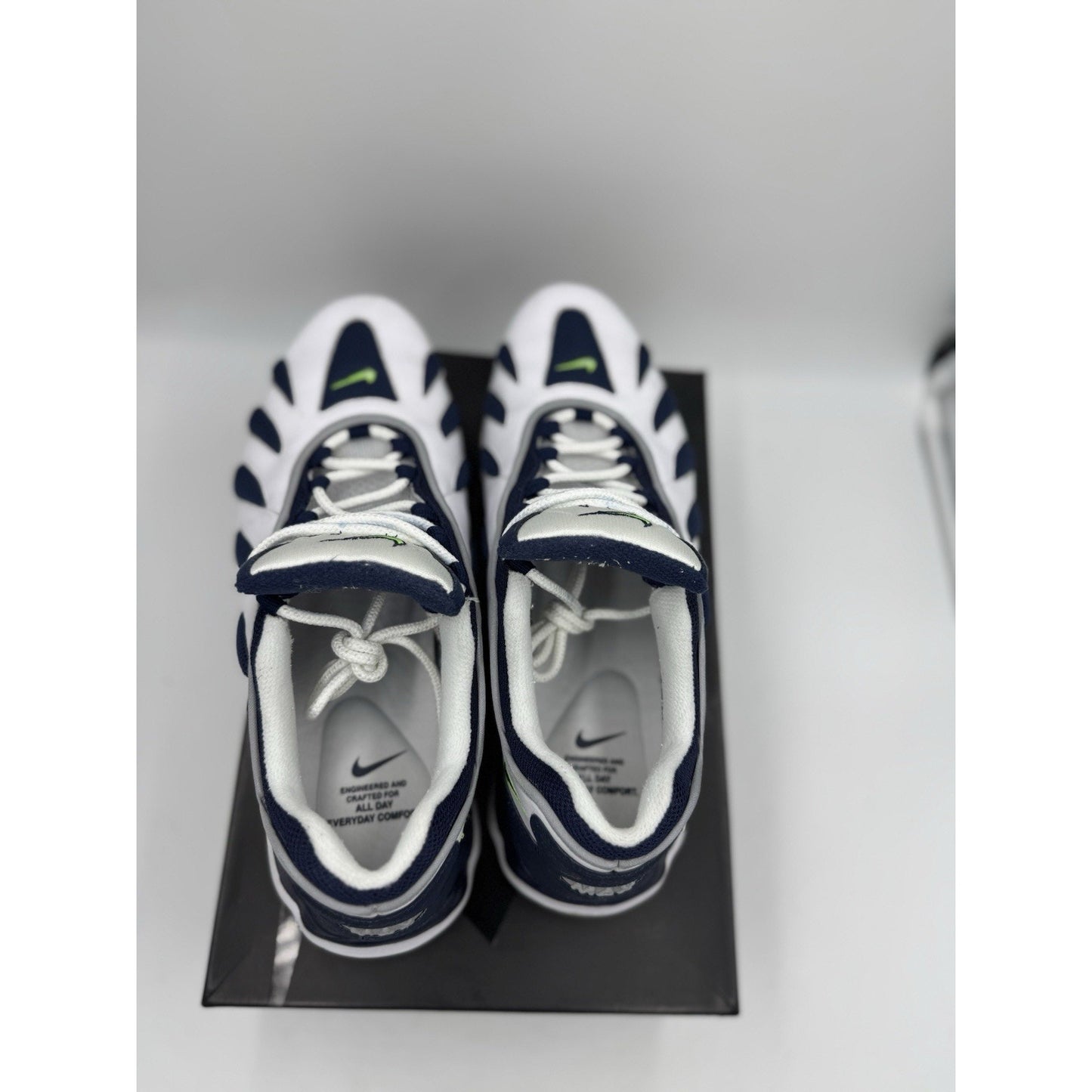 Size 11 Nike Air Max 96 FSR Sample