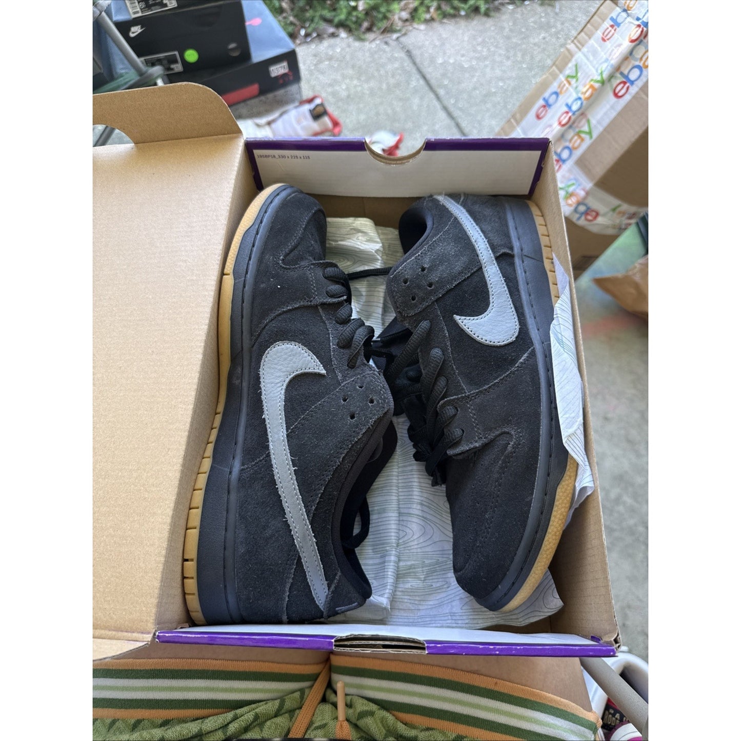 Size 11.5 - Nike SB Dunk Low Pro Fog