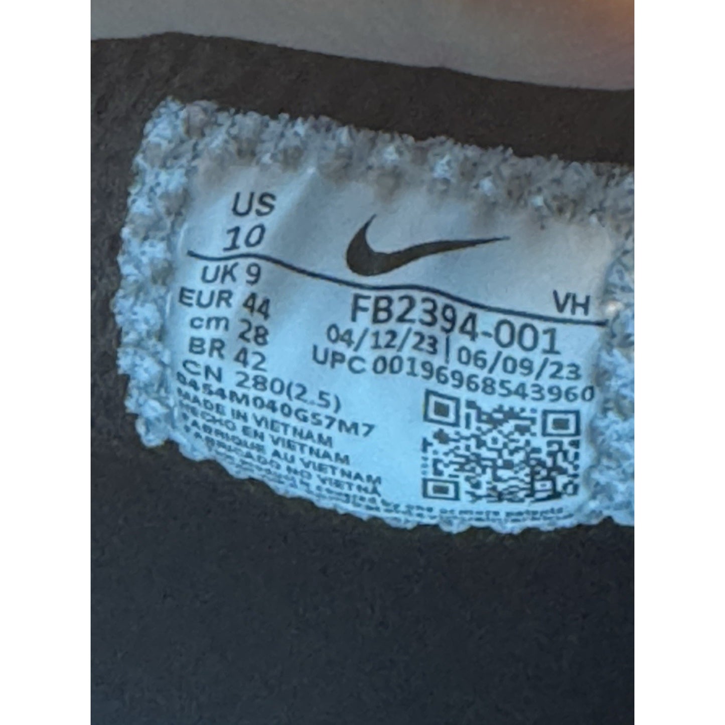 Size 10 - Nike Zoom Nyjah 3 SB Trouble at Home