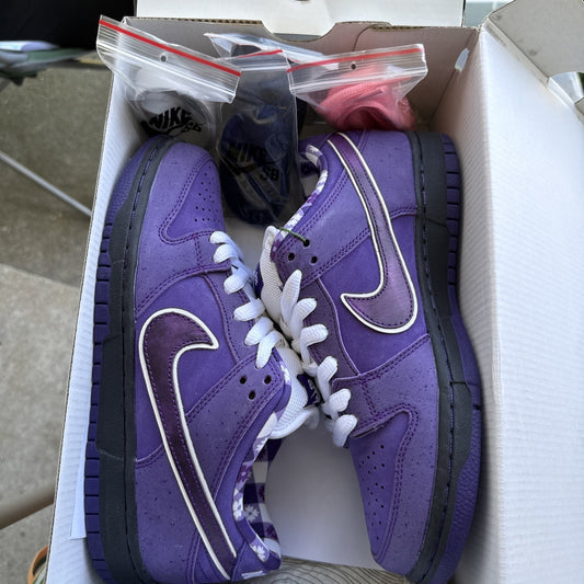 NEW 2018 Nike Dunk Low SB Sz 6.5 Purple Lobster x Concepts BV1310-555 AUTHENTIC