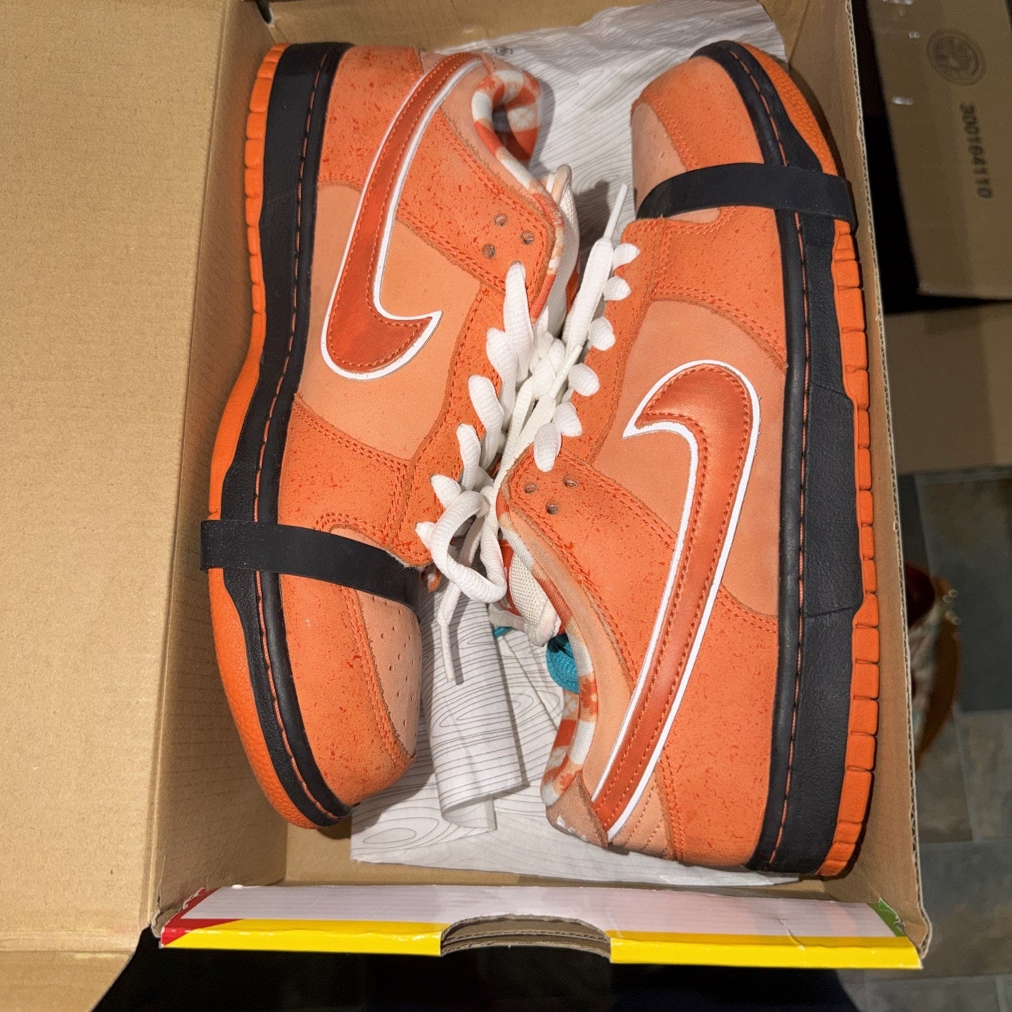 Nike SB Dunk Low 'Concepts Orange Lobster' Sneakers Size 9 FD8776-800