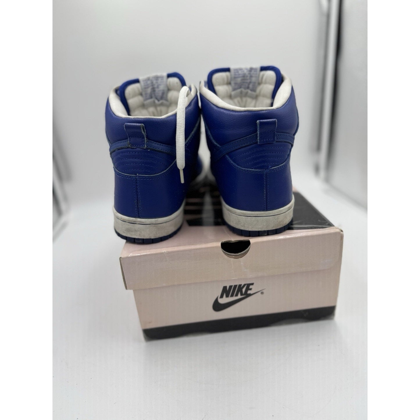 Size 10 - Nike Dunk Pro SB High T-19
