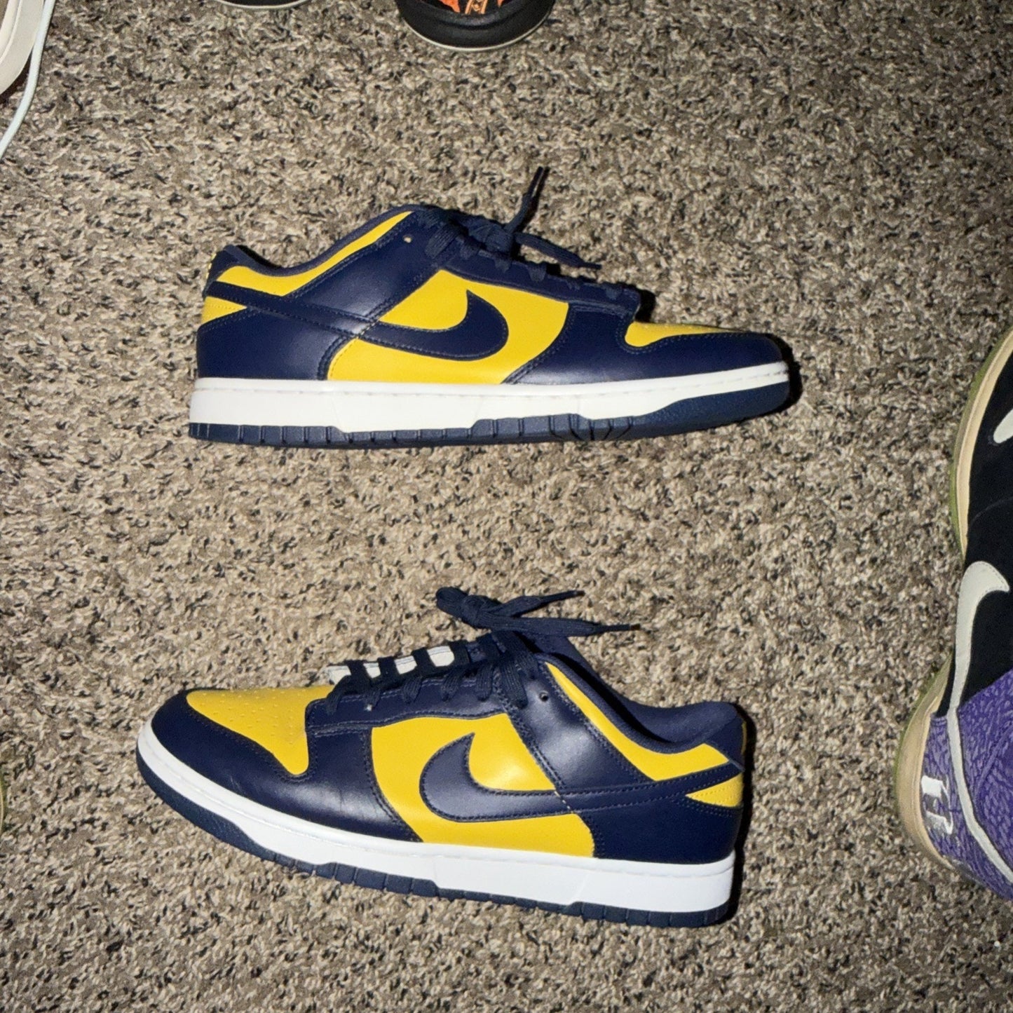 Size 10 - Nike Dunk Low Michigan 2021