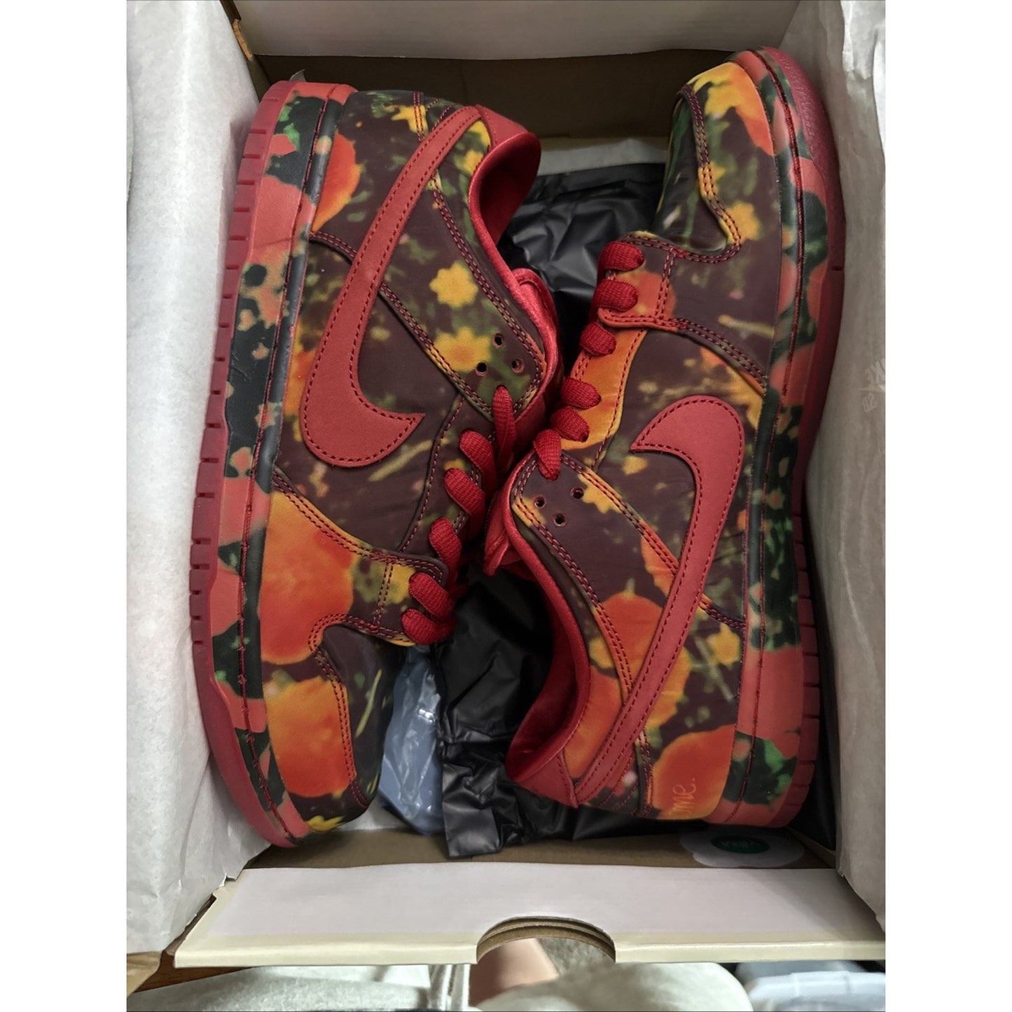 Nike Dunk SB Low Wizard of Oz Poppy Field Sz 10 New 313170-005👟
