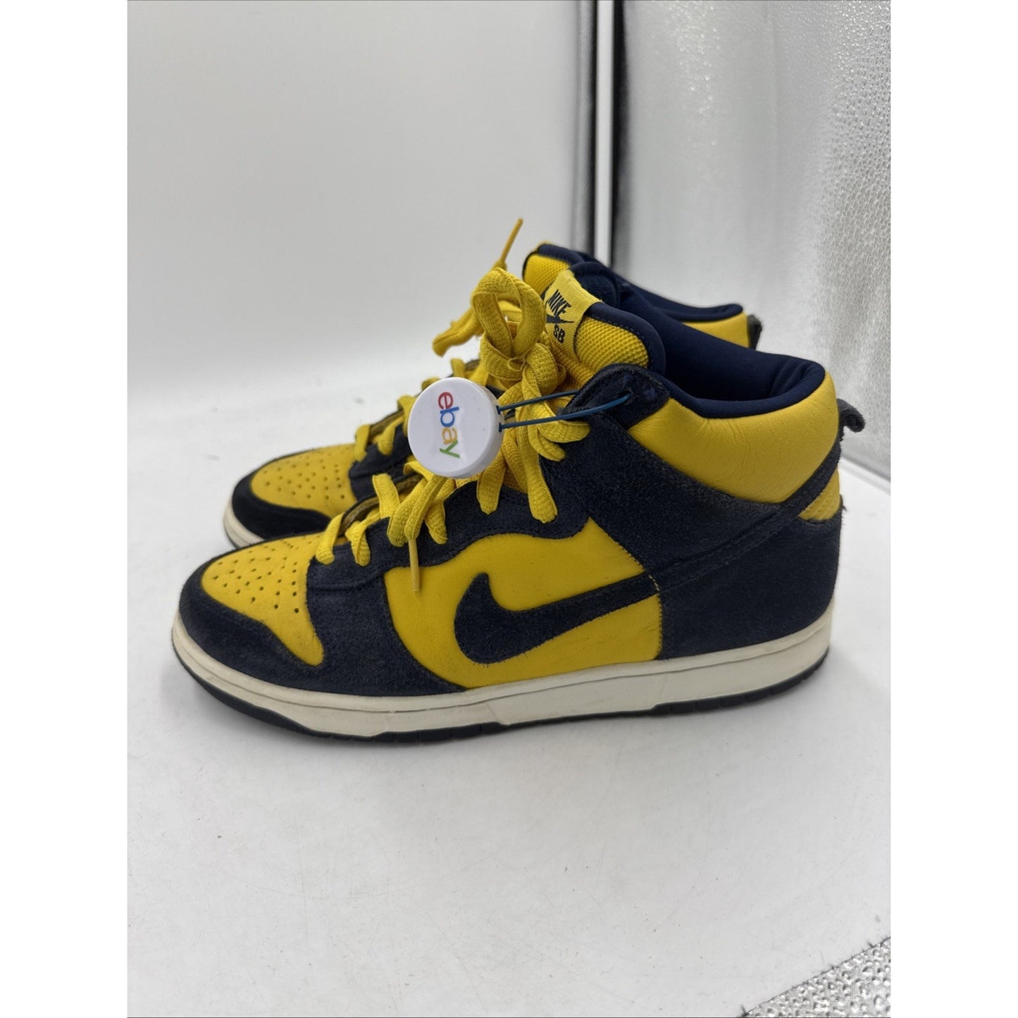 Size 9.5 - Nike Dunk Pro SB High Michigan