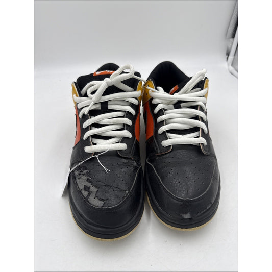 Size 11 - Nike Dunk Pro SB Low Raygun