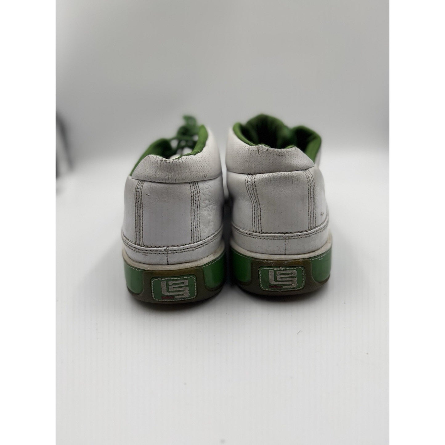 Size 11 - Nike Zoom LeBron ST Low Grass NBS322